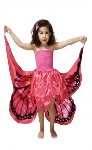xx_vestido-fantasia-luxo-princesa-borboleta-1-05df5162fe4c26bda.webp